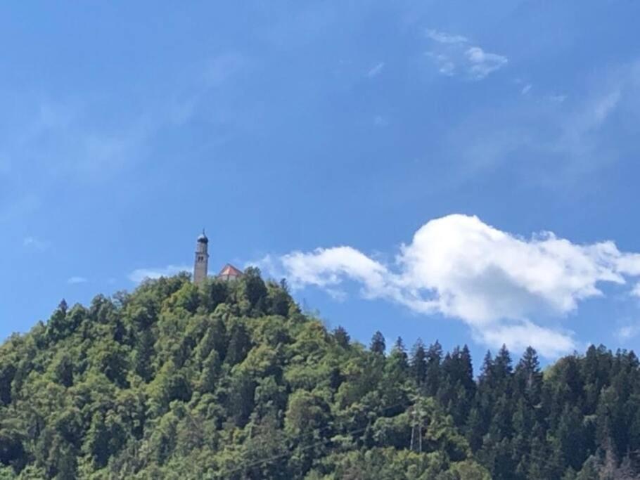 Holiday Guesthouse La Casina Di Butzi Pet Friendly - Terme Di Arta - Zoncolan Arta Terme Dış mekan fotoğraf