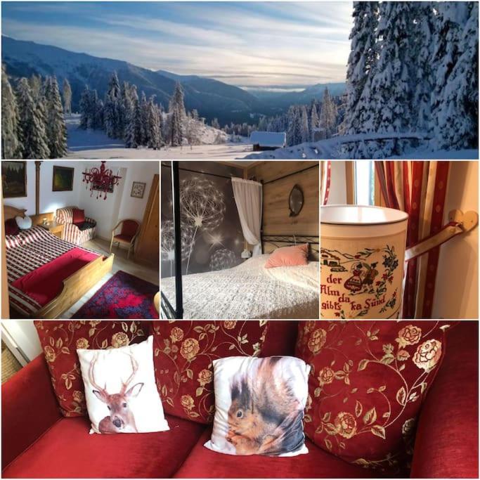 Holiday Guesthouse La Casina Di Butzi Pet Friendly - Terme Di Arta - Zoncolan Arta Terme Dış mekan fotoğraf