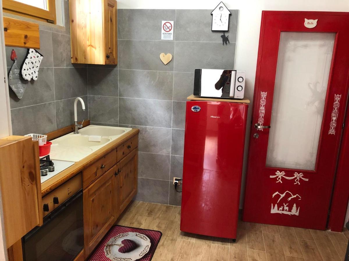 Holiday Guesthouse La Casina Di Butzi Pet Friendly - Terme Di Arta - Zoncolan Arta Terme Dış mekan fotoğraf