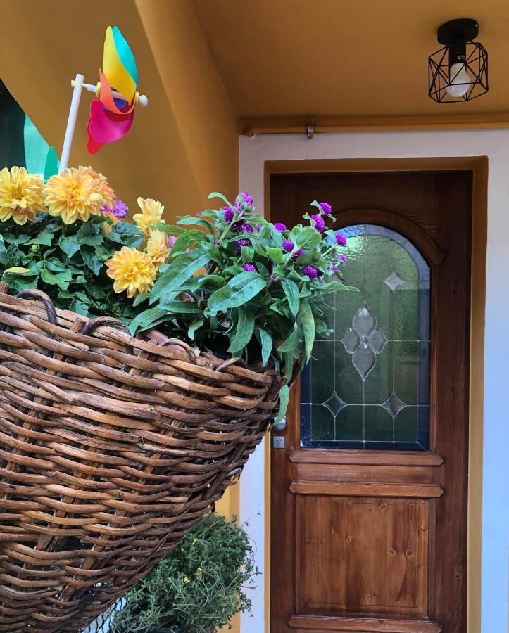 Holiday Guesthouse La Casina Di Butzi Pet Friendly - Terme Di Arta - Zoncolan Arta Terme Dış mekan fotoğraf