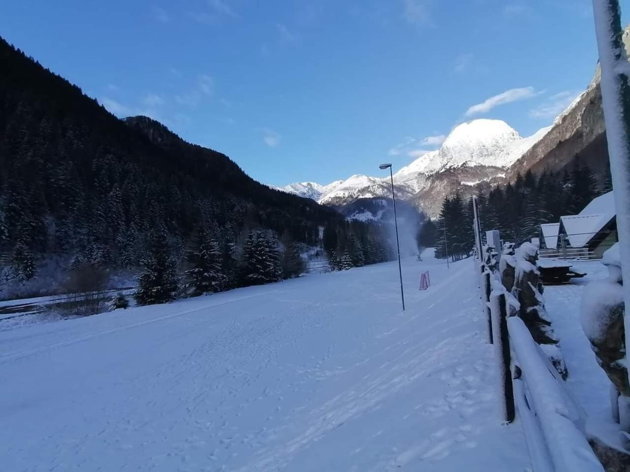 Holiday Guesthouse La Casina Di Butzi Pet Friendly - Terme Di Arta - Zoncolan Arta Terme Dış mekan fotoğraf