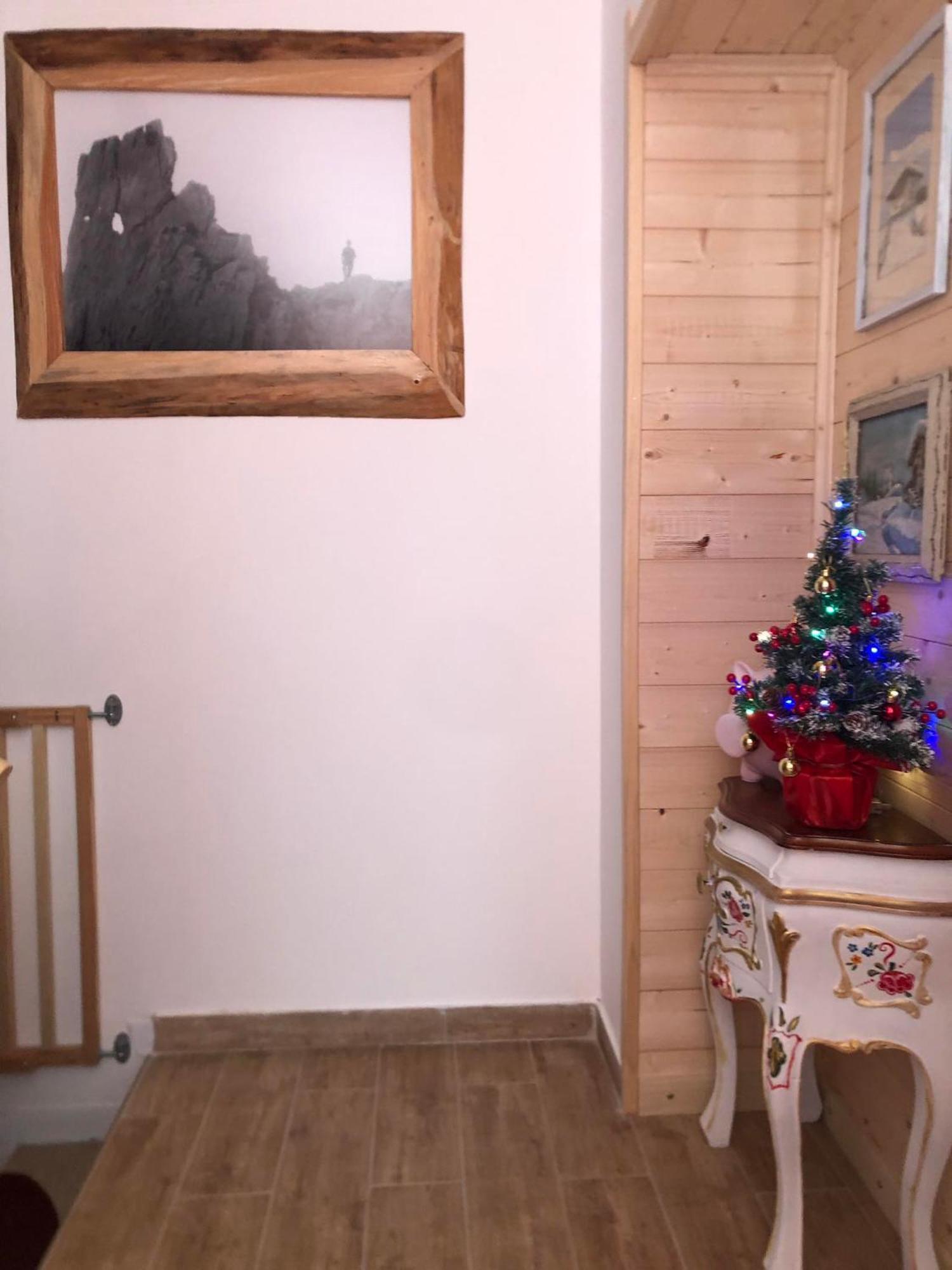 Holiday Guesthouse La Casina Di Butzi Pet Friendly - Terme Di Arta - Zoncolan Arta Terme Dış mekan fotoğraf