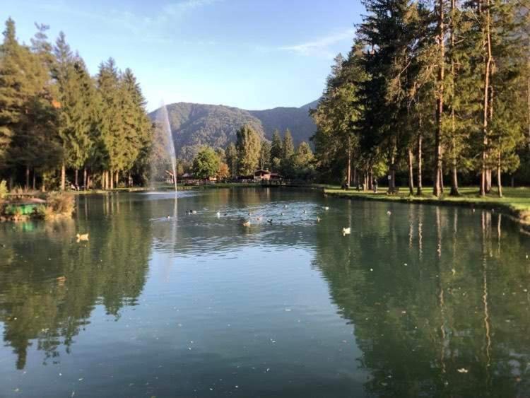 Holiday Guesthouse La Casina Di Butzi Pet Friendly - Terme Di Arta - Zoncolan Arta Terme Dış mekan fotoğraf